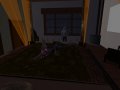 Snapshot_Camera1_003.jpg